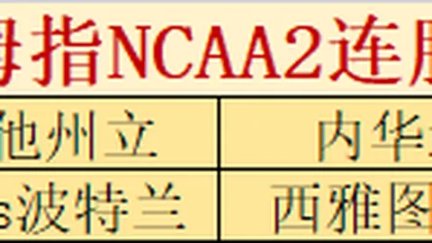 马雷斯卡指出：开赛表现良好，不必每场均依赖帕尔默发挥